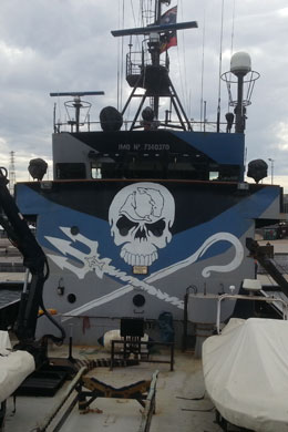 Swift Scaffolding Sea Shepherd